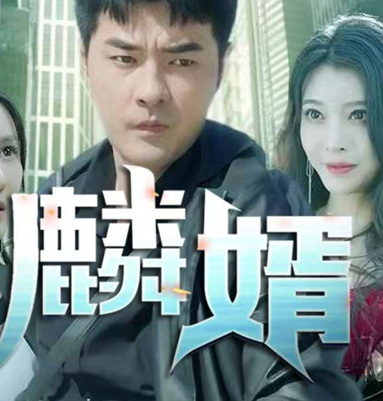 麟婿 第33集